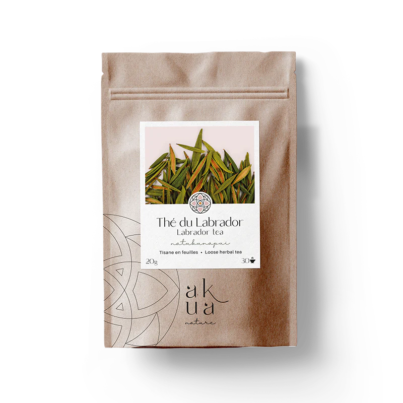 Tisane de Thé du Labrador