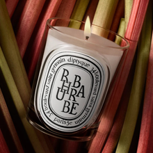 RHUBARBE - Bougie d'ambiance