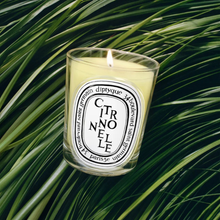 CITRONELLE - Bougie d'ambiance