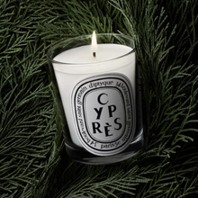 CYPRESS - Scented candle
