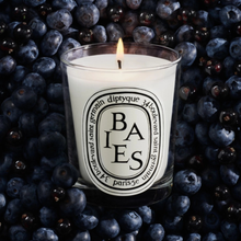 BAIES - Bougie d'ambiance