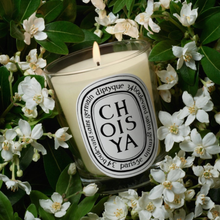 CHOISYA - Scented Candle