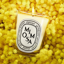 MIMOSA - Scented Candle