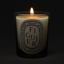 FIGUIER - Bougie d'ambiance