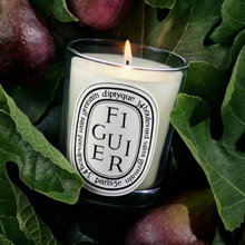 FIGUIER - Bougie d'ambiance