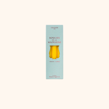 MADELEINE - Chandelles