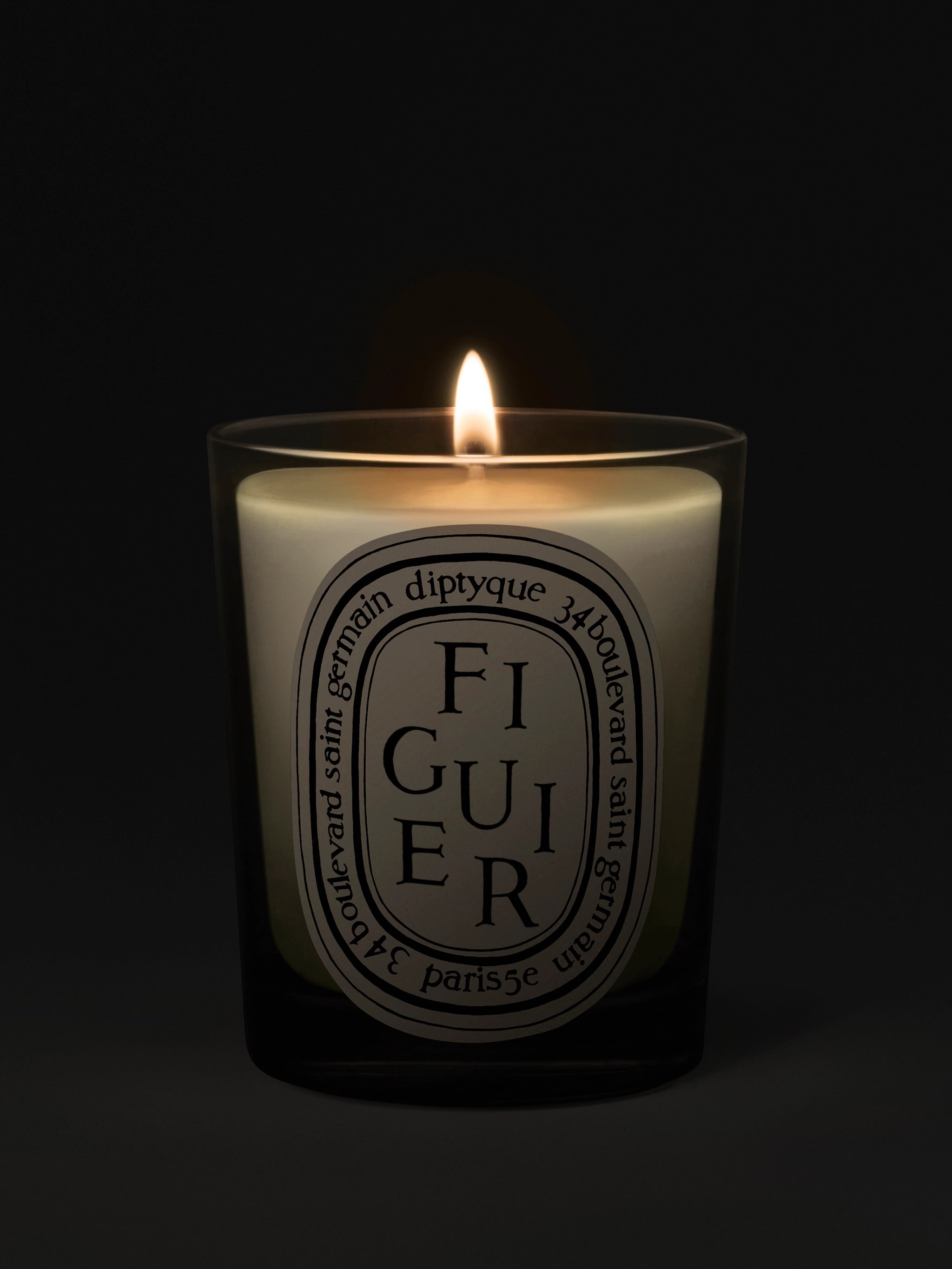 Bougie d'ambiance Figuier