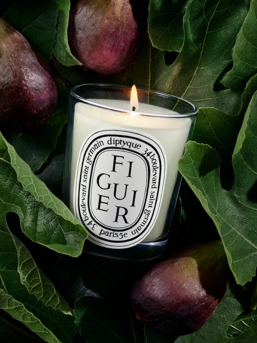 Bougie d'ambiance Figuier