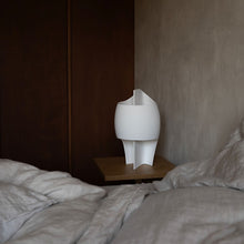 Lampe B