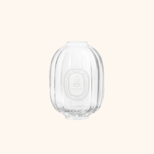 GLASS BOTTLE - Home fragrance diffuser