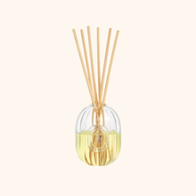 GLASS BOTTLE - Home fragrance diffuser