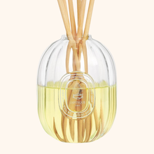 GLASS BOTTLE - Home fragrance diffuser