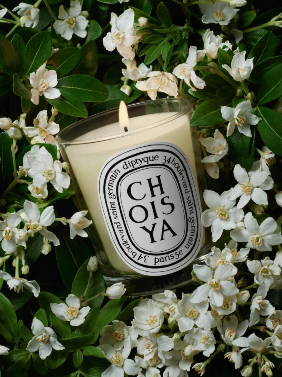 Bougie d'Ambiance Choisya