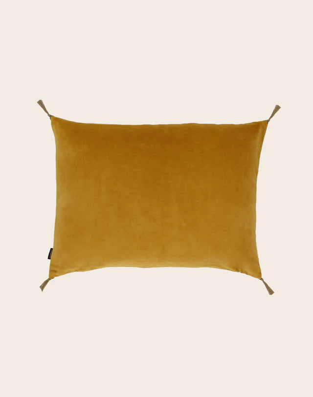 Coussin Velours Lavé